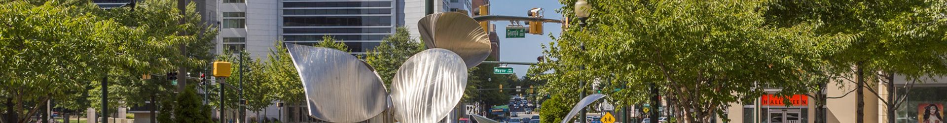 Silver Springs Banner