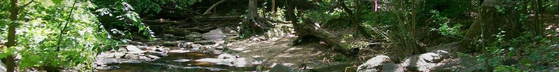 Parkville MD Cropped