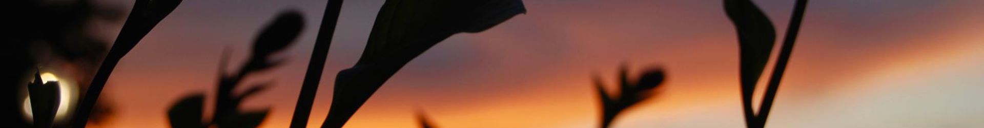 Middle River Shutterstock 1487338658 Cropped